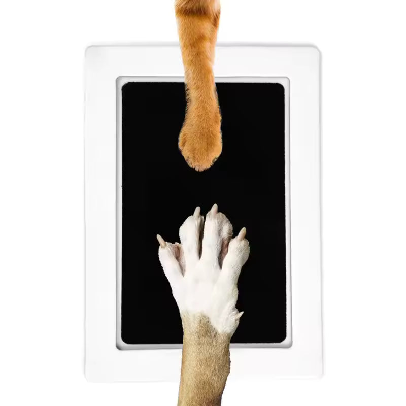 Doggy Inkprint Kit