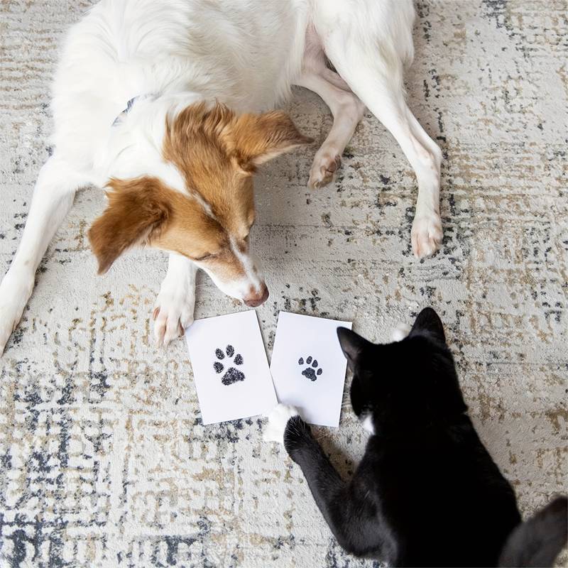 Doggy Inkprint Kit