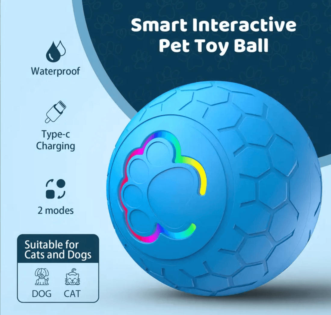 Doggy Superball